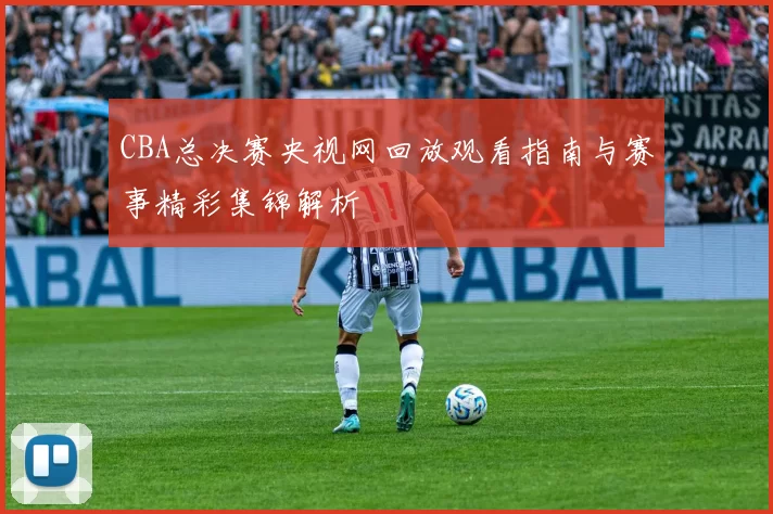 CBA总决赛央视网回放观看指南与赛事精彩集锦解析