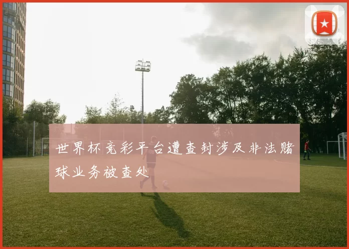 世界杯竞彩平台遭查封涉及非法赌球业务被查处