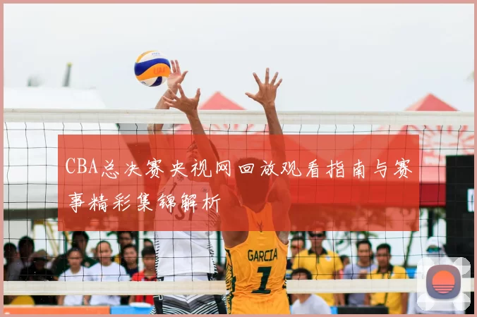 CBA总决赛央视网回放观看指南与赛事精彩集锦解析