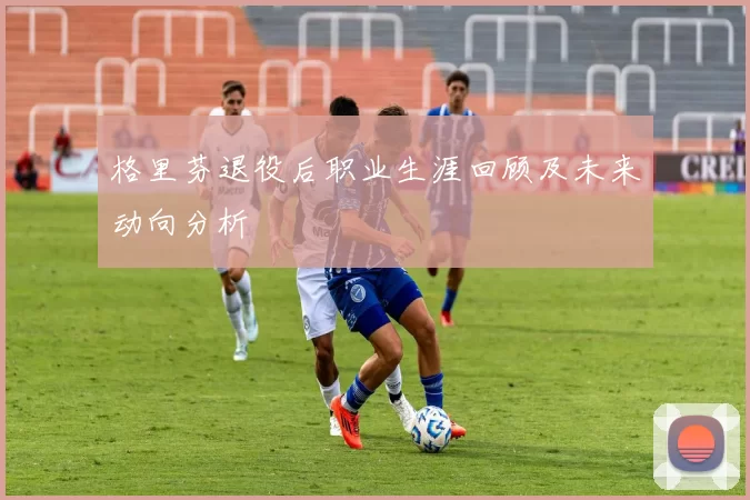 格里芬退役后职业生涯回顾及未来动向分析