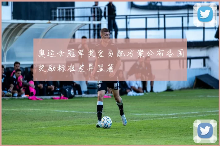 奥运会冠军奖金分配方案公布各国奖励标准差异显著