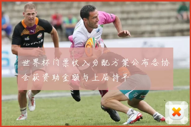 世界杯门票收入分配方案公布各协会获资助金额与上届持平