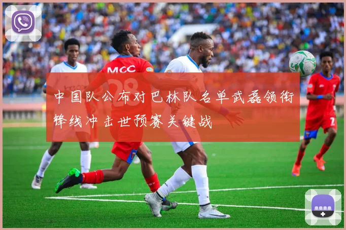 中国队公布对巴林队名单武磊领衔锋线冲击世预赛关键战