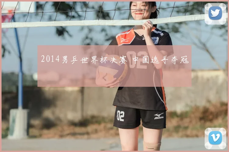2014男乒世界杯决赛 中国选手夺冠