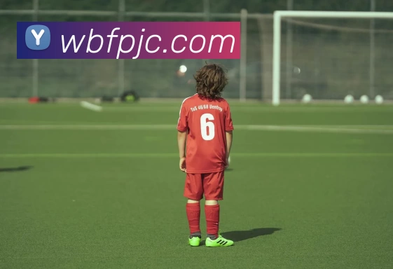 星空体育app直播平台生态图