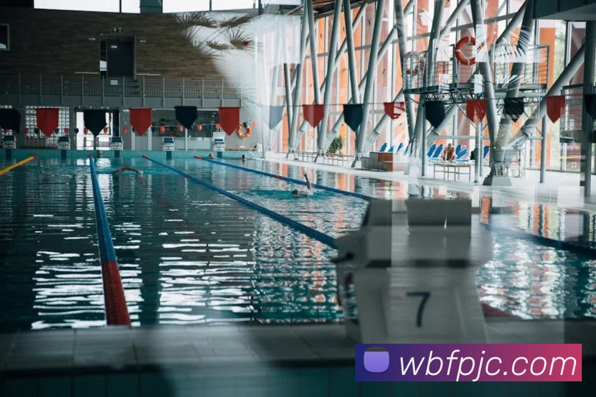 多彩内容专区
